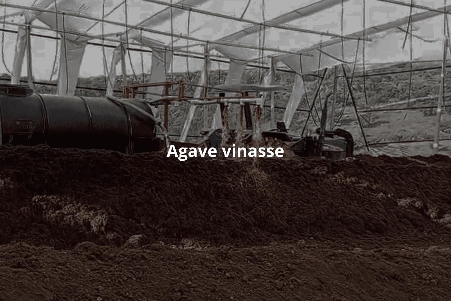 Agave Vinasse - Environmental Challenges and Opportunities for Sustainable Agriculture