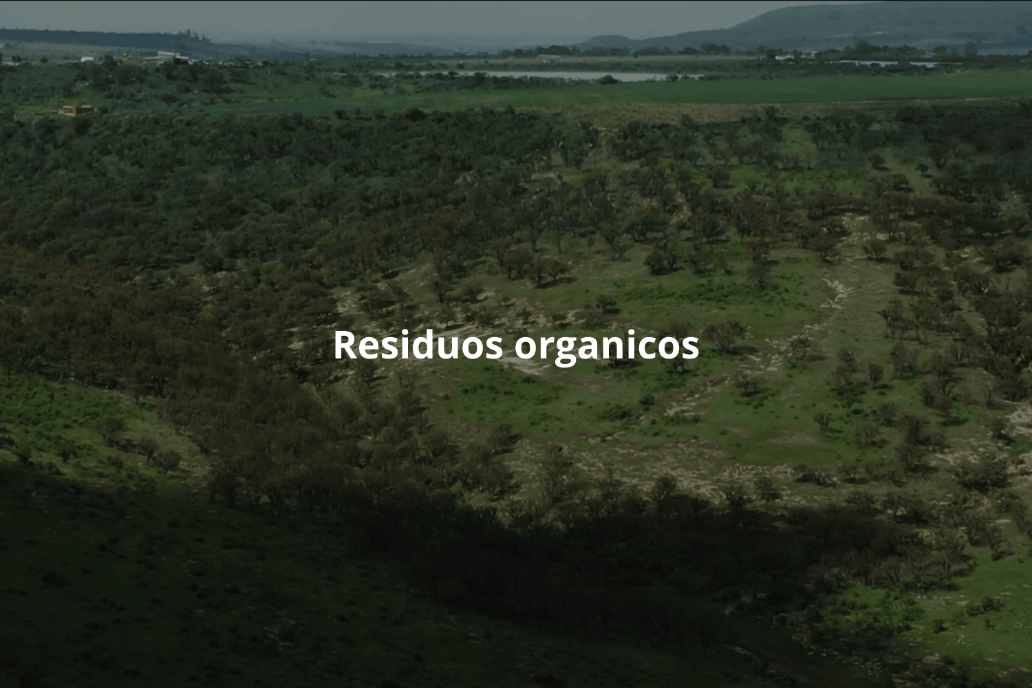 Cómo transformar los residuos orgánicos de la industria tequilera en recursos ambientales sostenibles