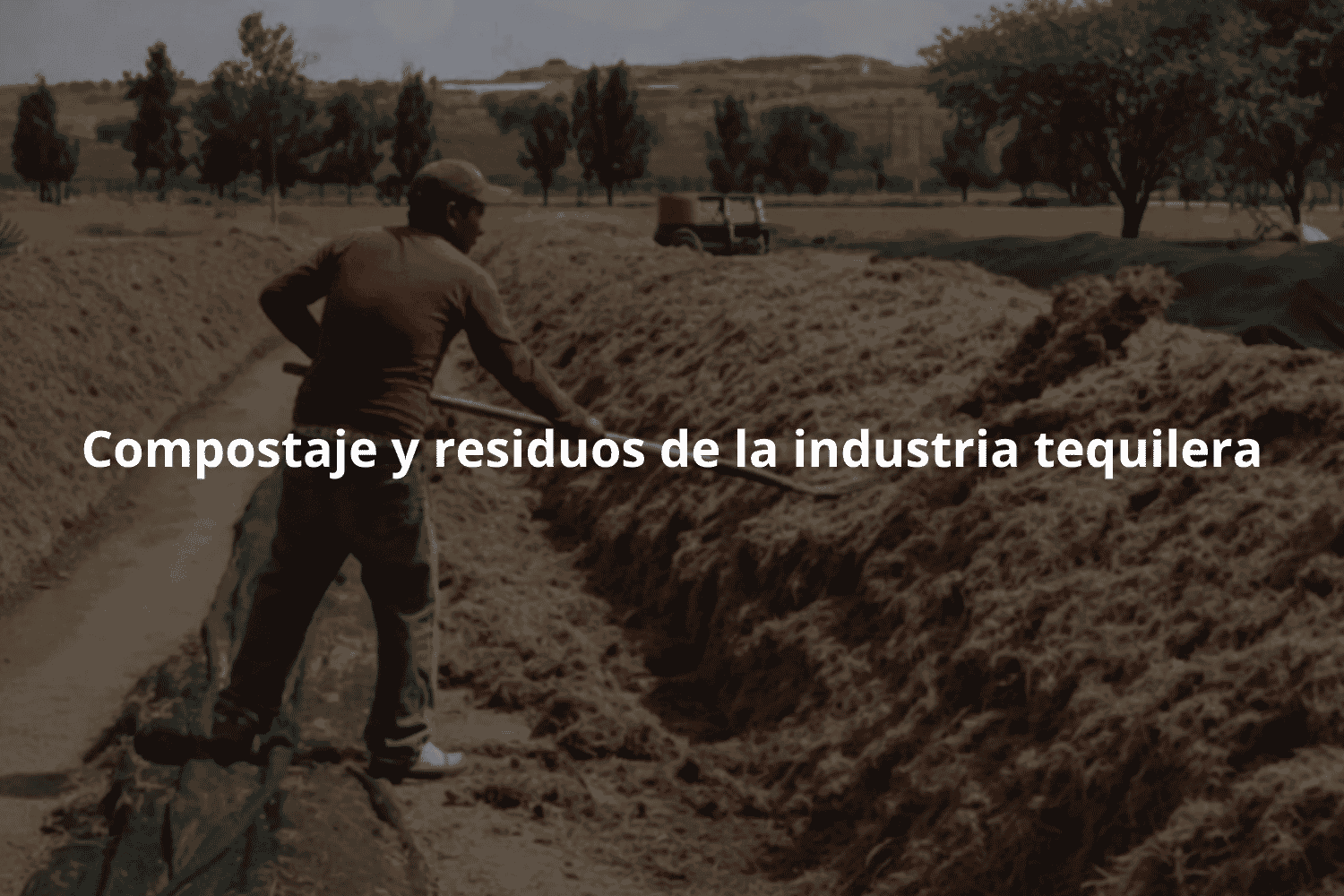 Compostaje y residuos de la industria tequilera