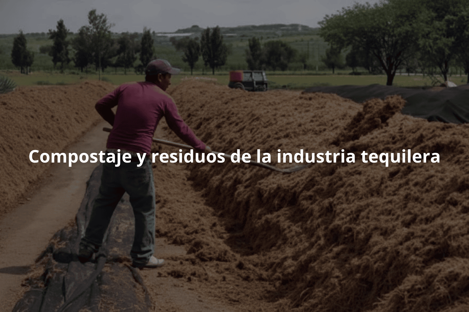 Compostaje y residuos de la industria tequilera