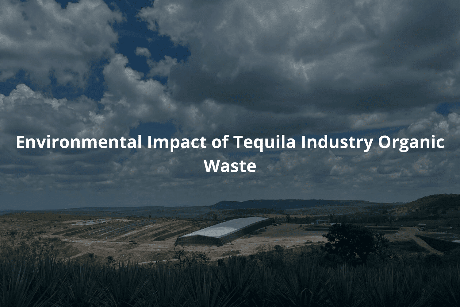 Environmental Impact of Tequila Industry Organic Waste