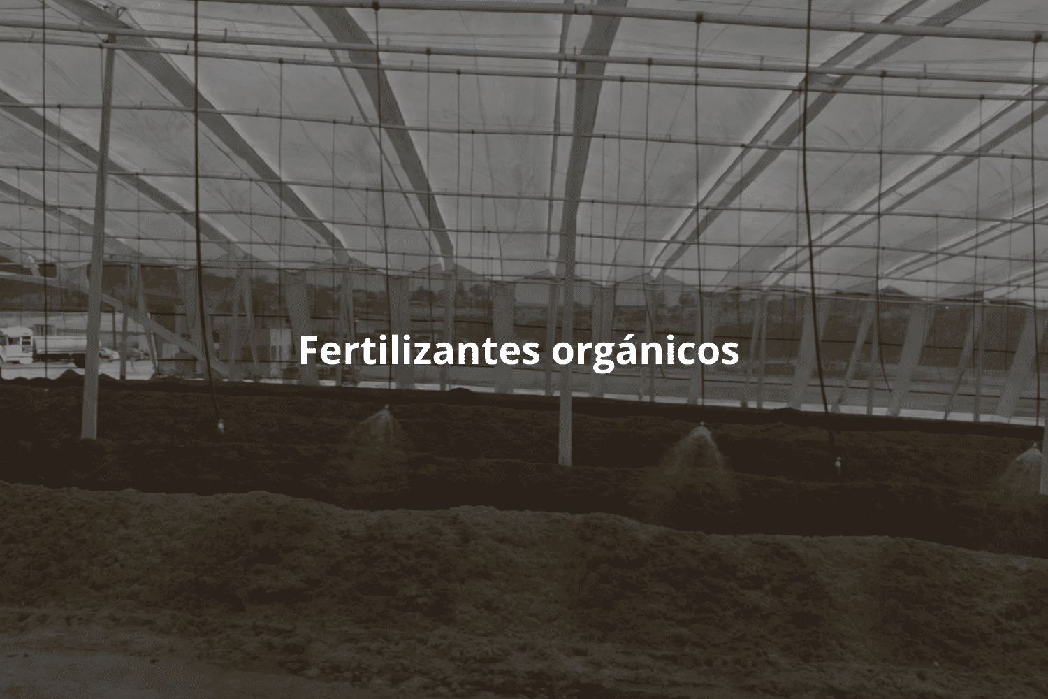 Fertilizantes orgánicos