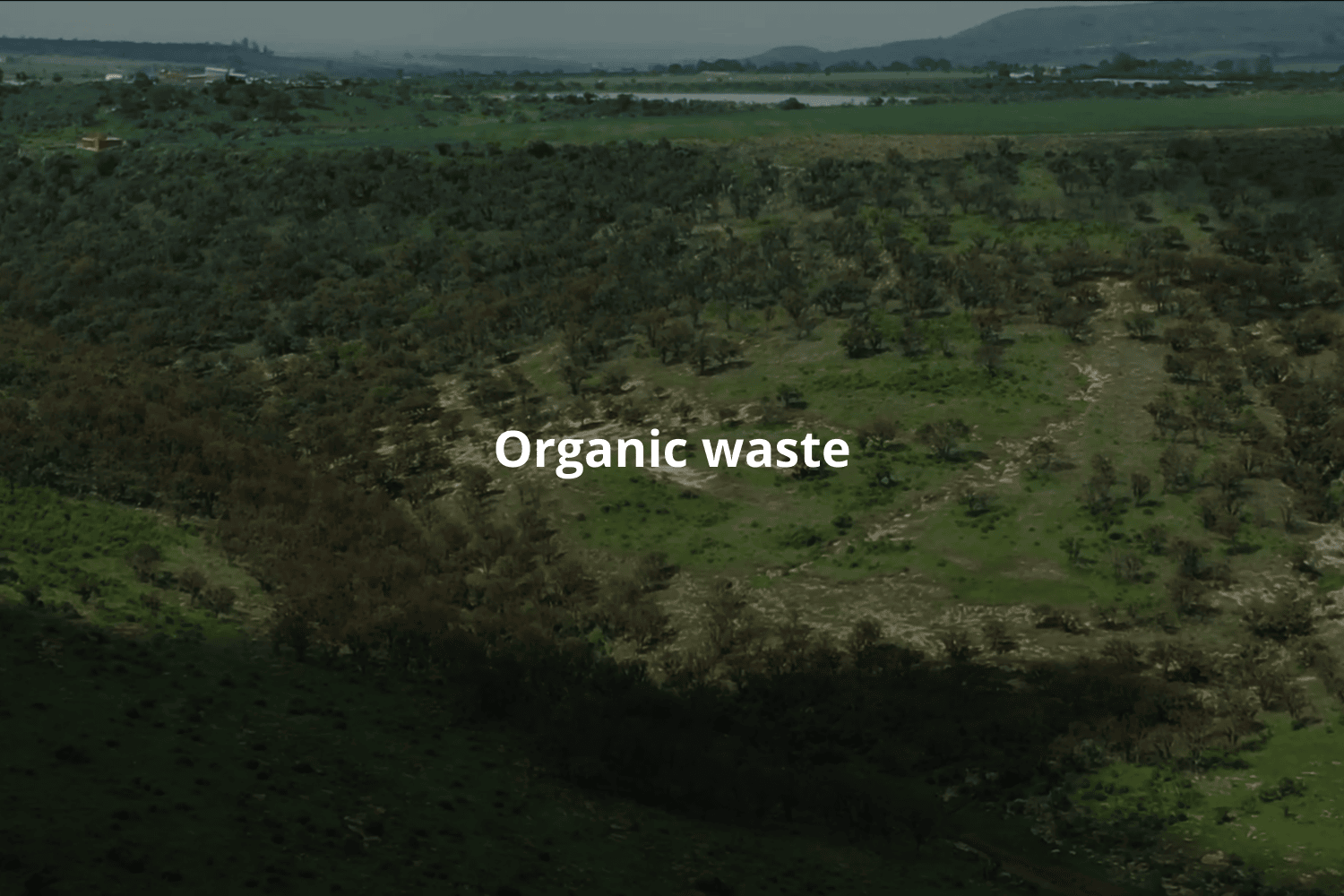How to Transform Organic Waste from the Tequila Industry into Sustainable Environmental Resources