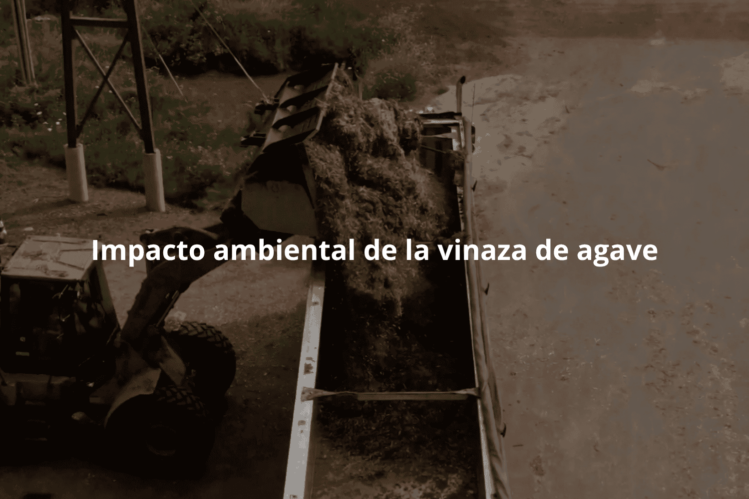 Impacto ambiental de la vinaza de agave