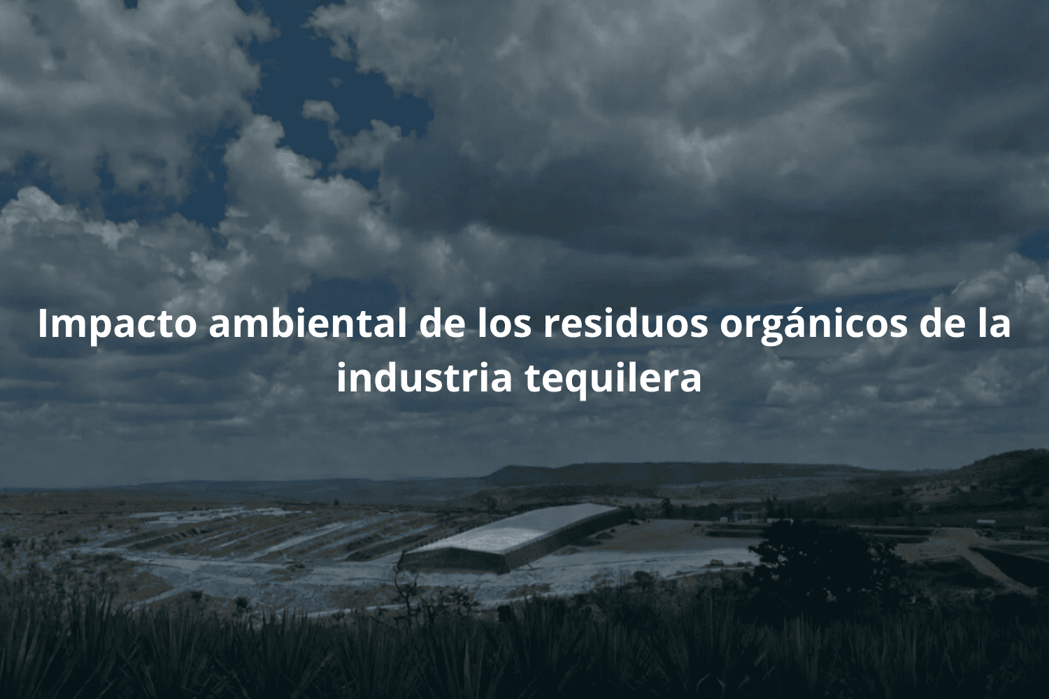 Impacto ambiental de los residuos orgánicos de la industria tequilera