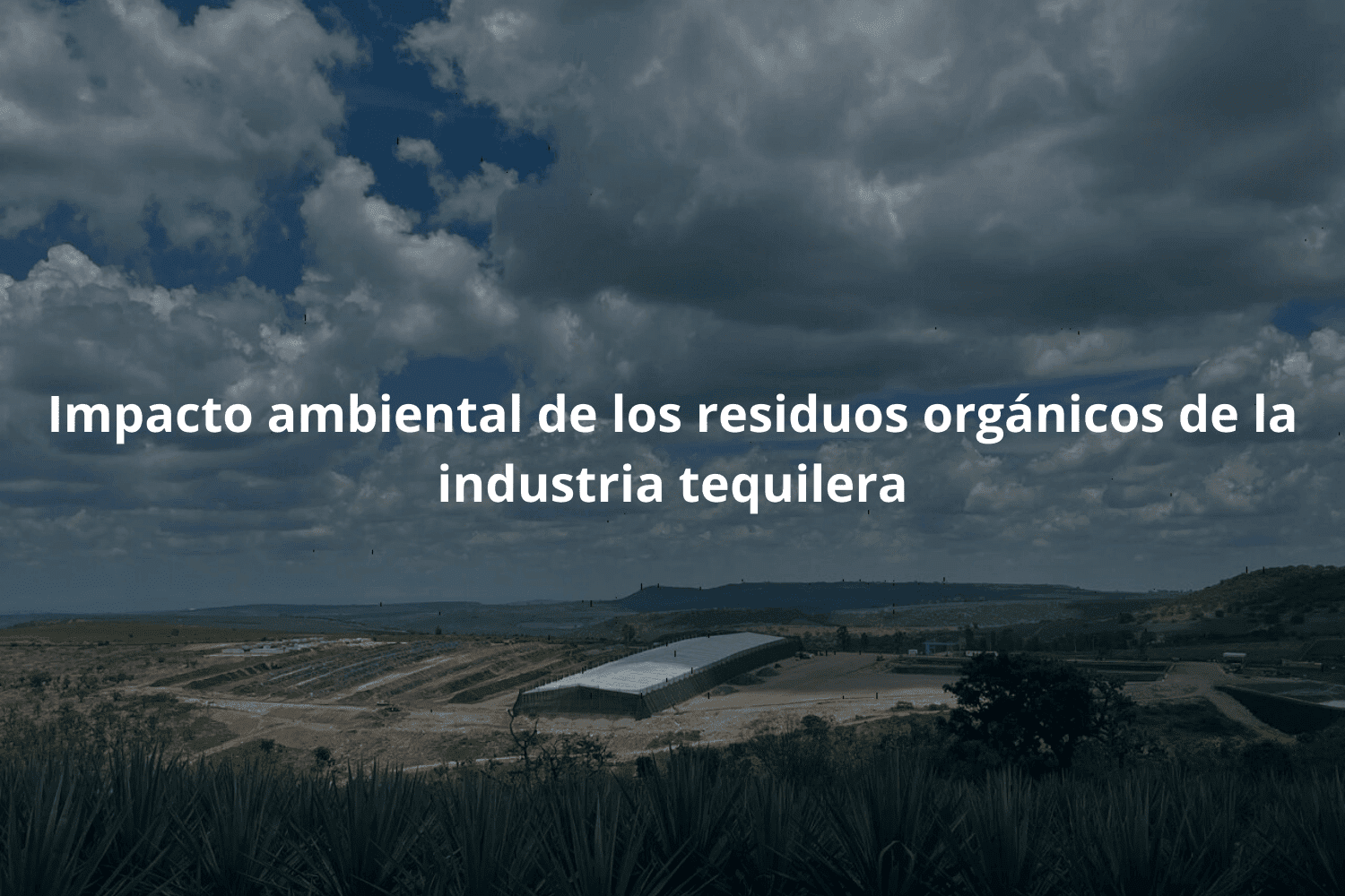 Impacto ambiental de los residuos orgánicos de la industria tequilera
