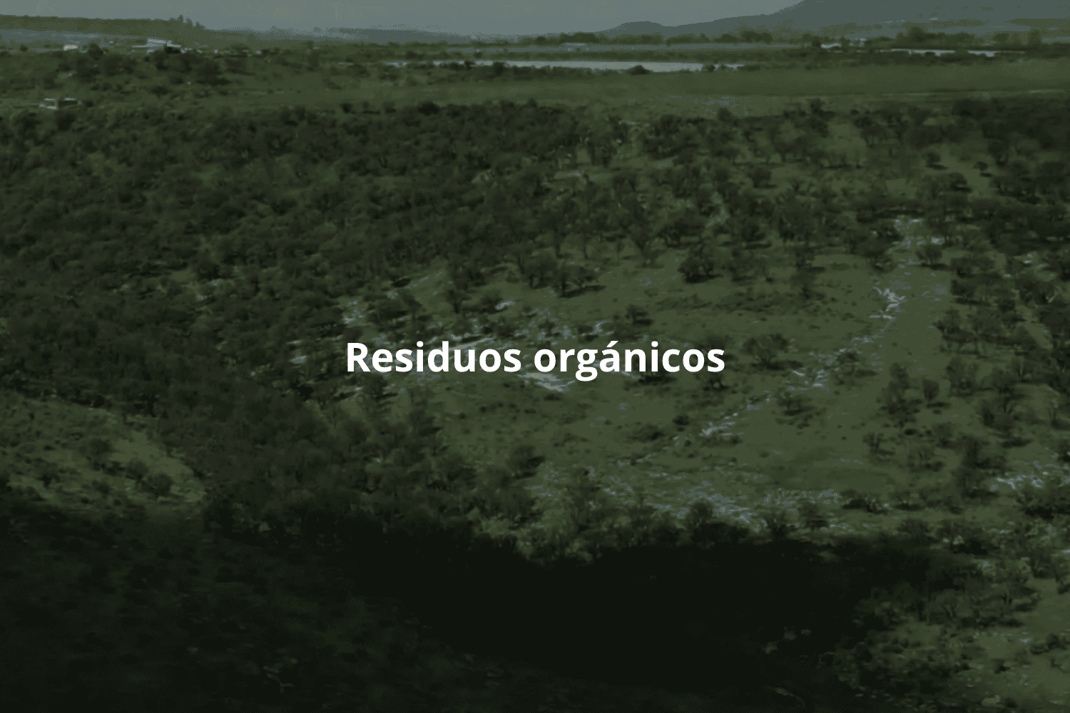 Residuos orgánicos