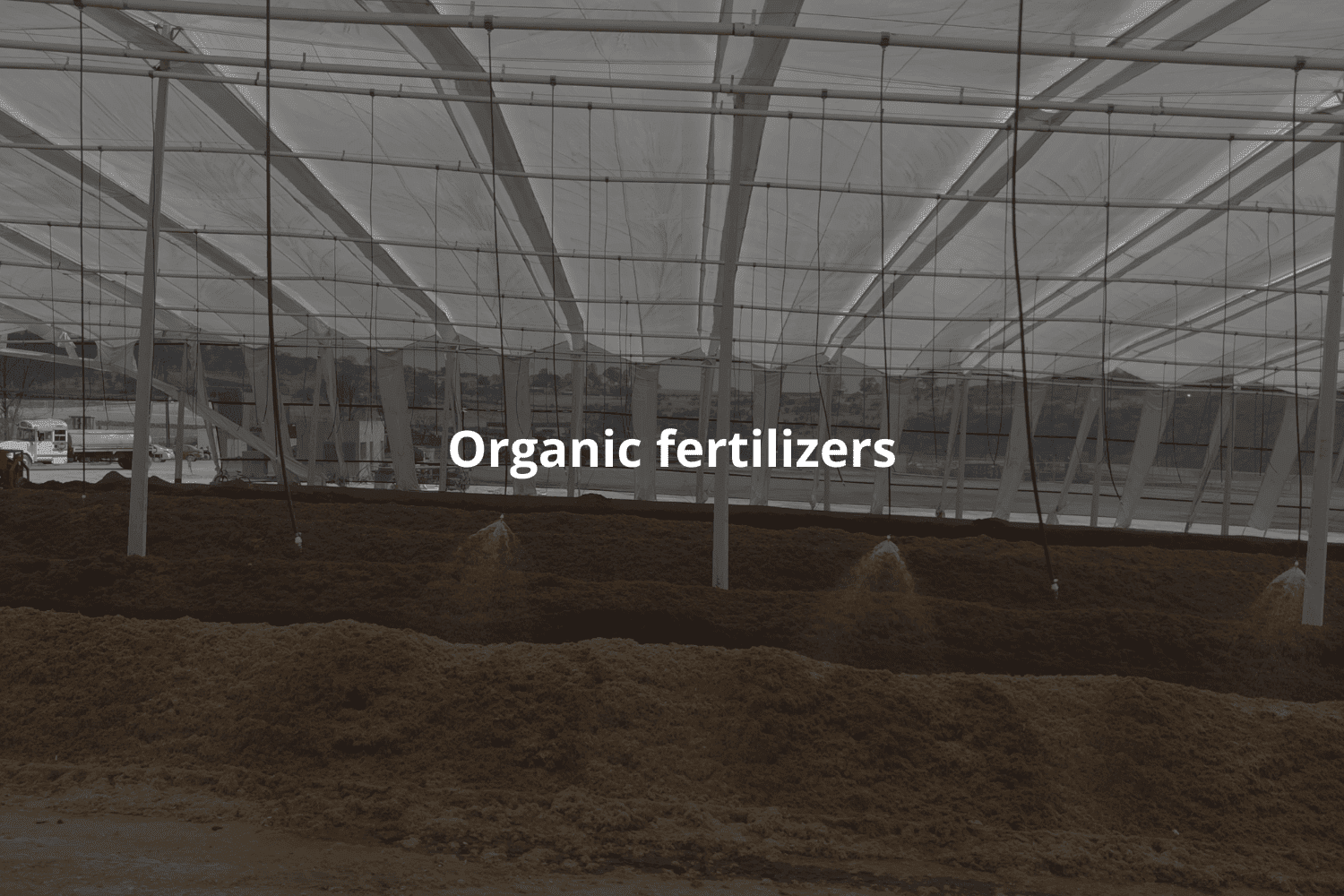 The Role of Organic Fertilizers in Soil Regeneration and the Circular Economy of Agave