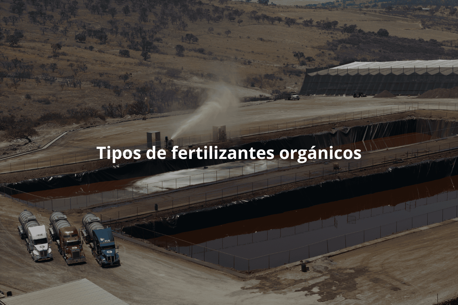 Tipos de fertilizantes orgánicos