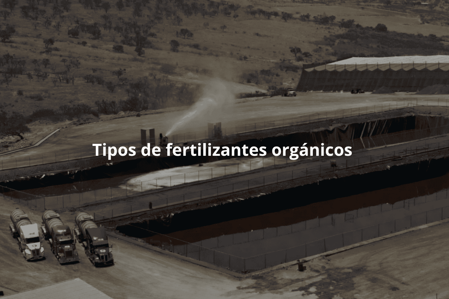 Tipos de fertilizantes orgánicos