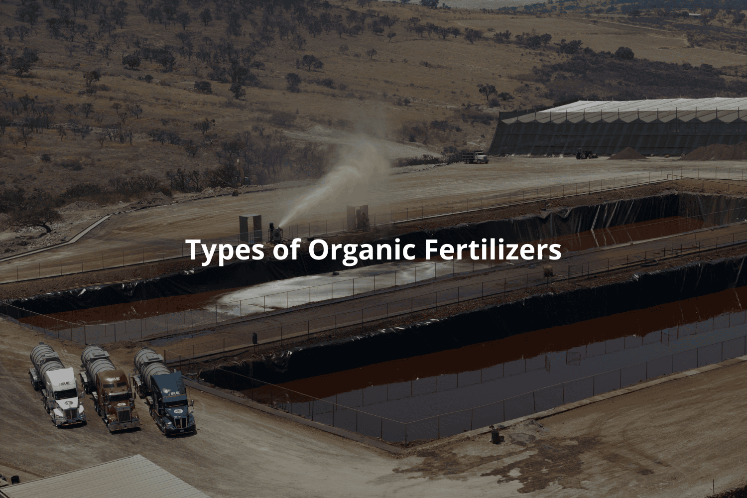 Types of Organic Fertilizers