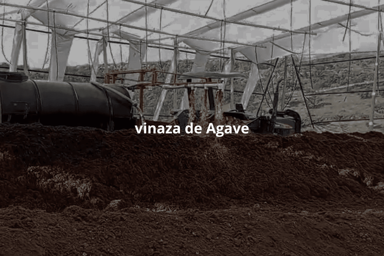 Vinaza de Agave: Desafíos Ambientales y Oportunidades para la Agricultura Sostenible