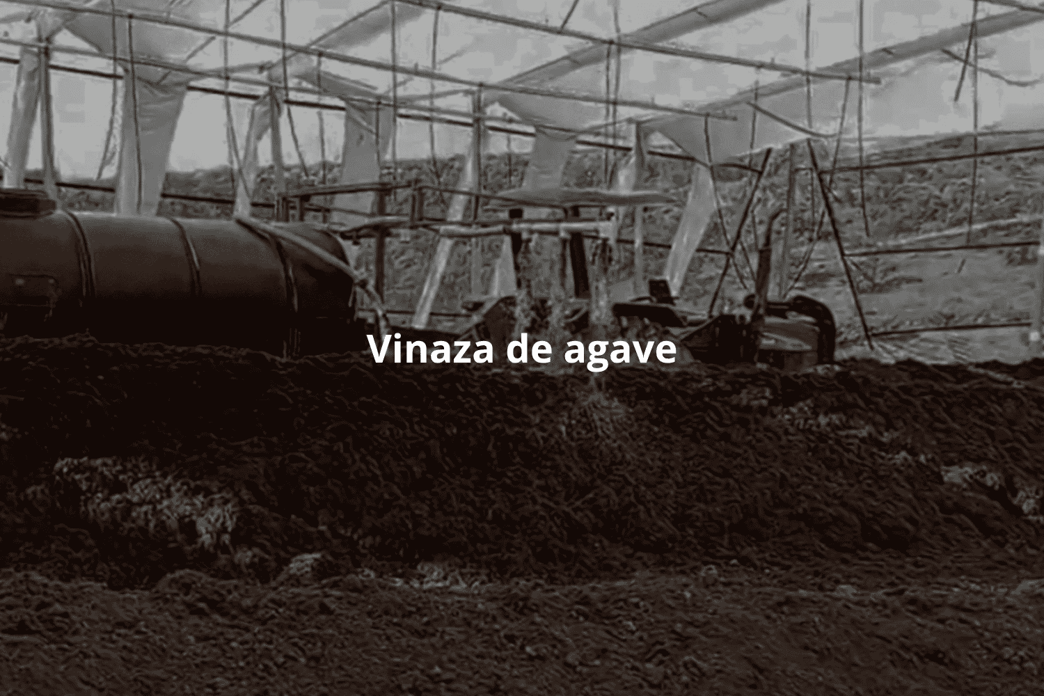 Vinaza de agave