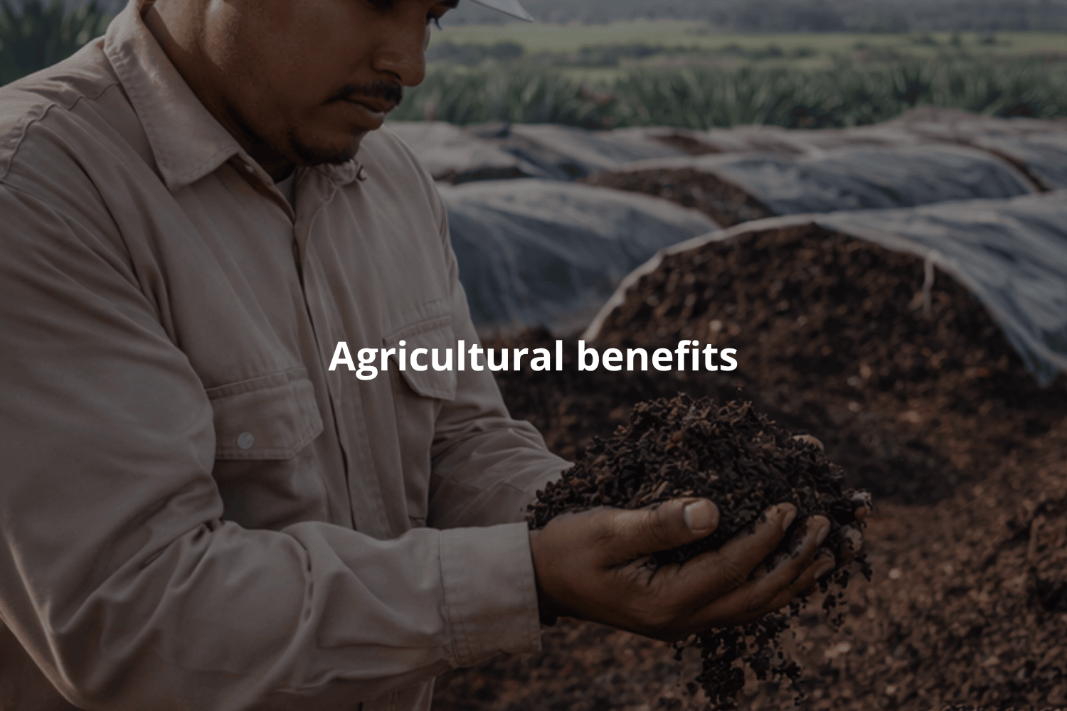 Agricultural benefits of using organic waste