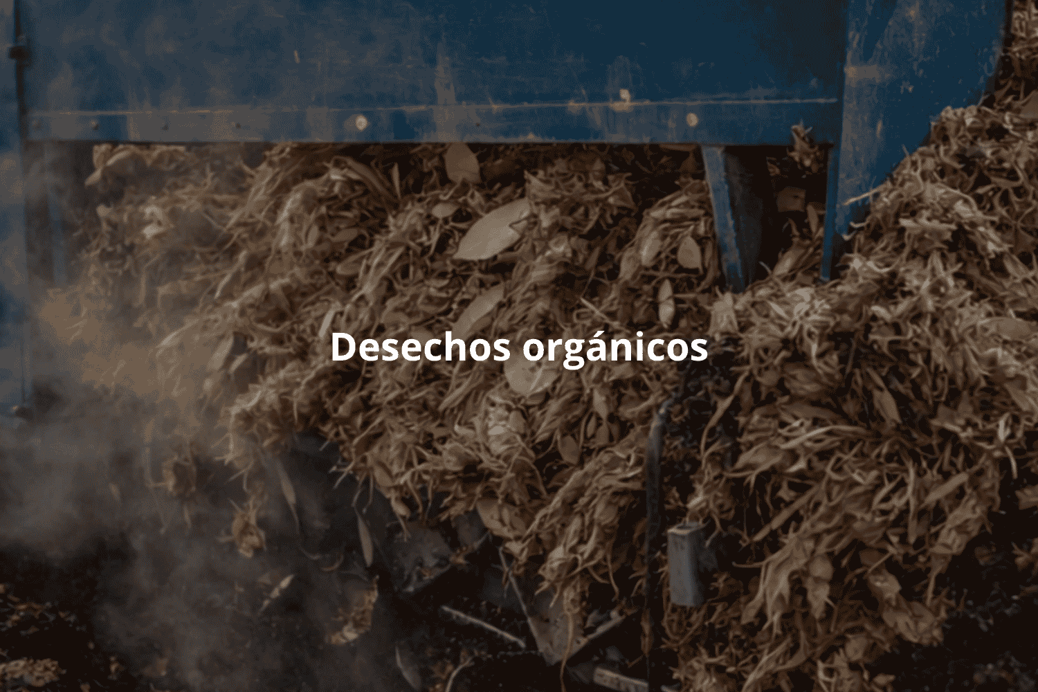 Desechos orgánicos