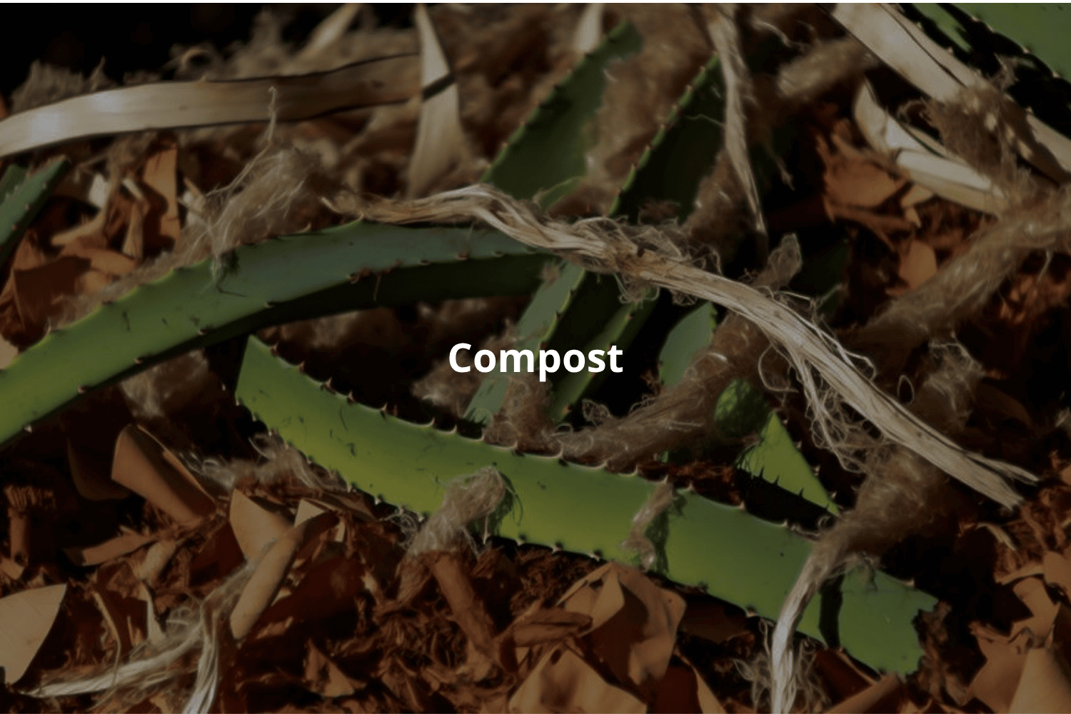 Compost