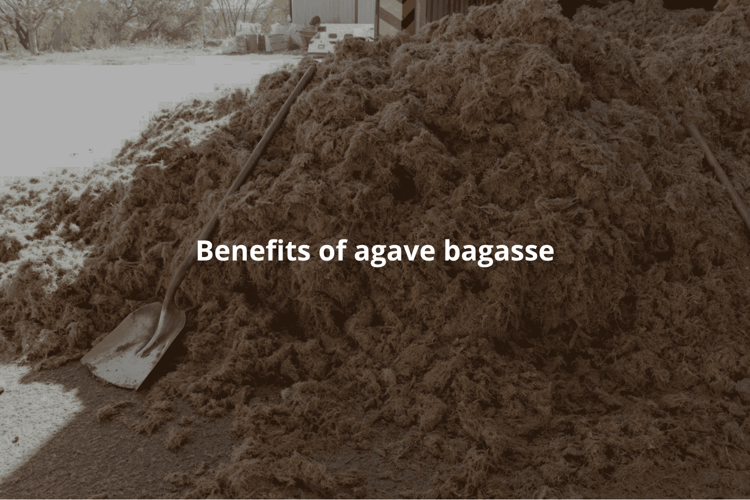 Benefits of Agave Bagasse in Agriculture