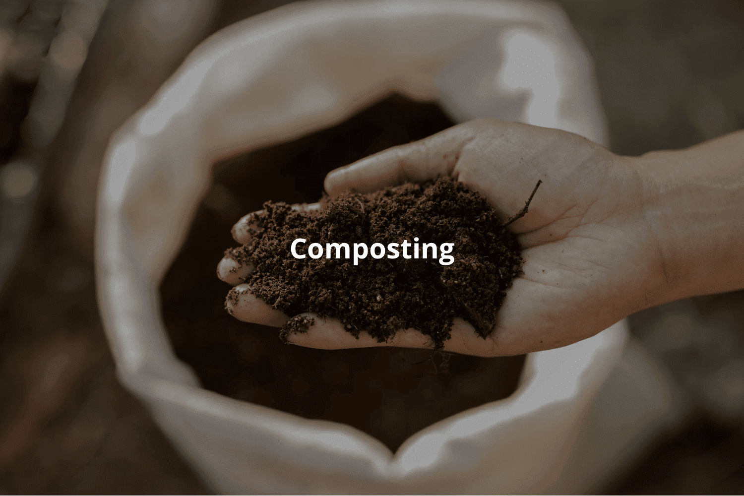 Composting: A Sustainable Solution for Waste from the Tequila Industry