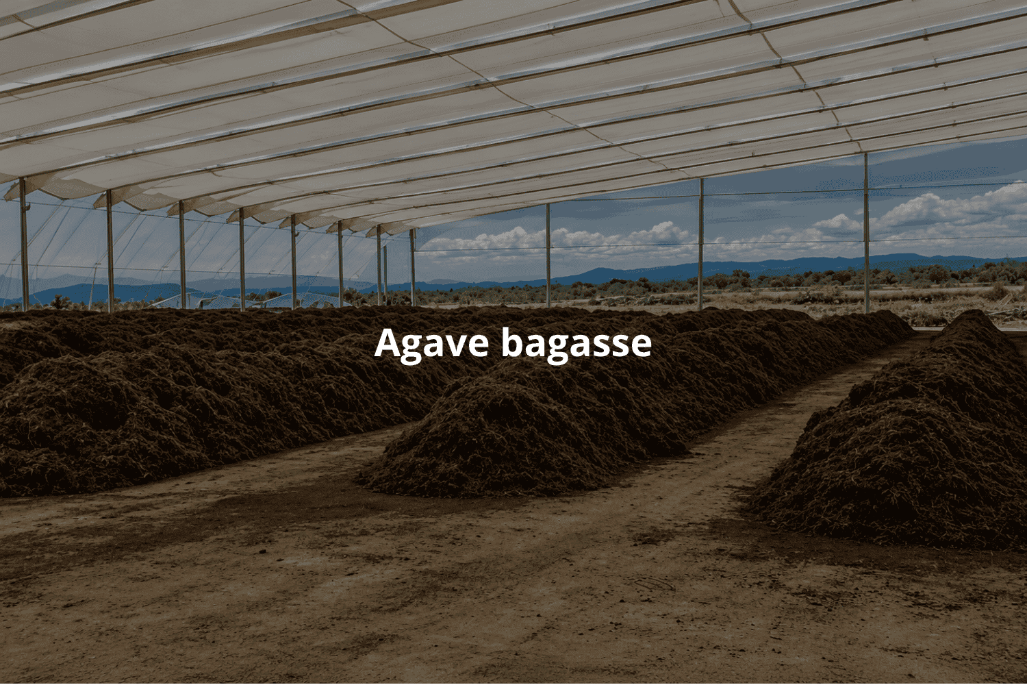 agave bagasse