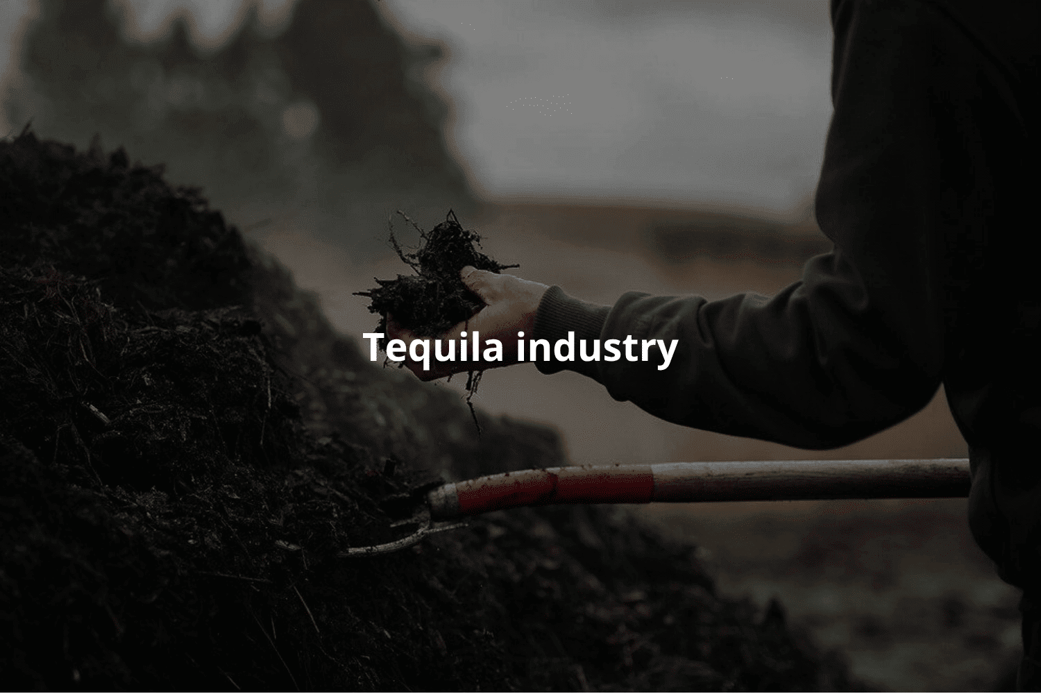 tequila industry