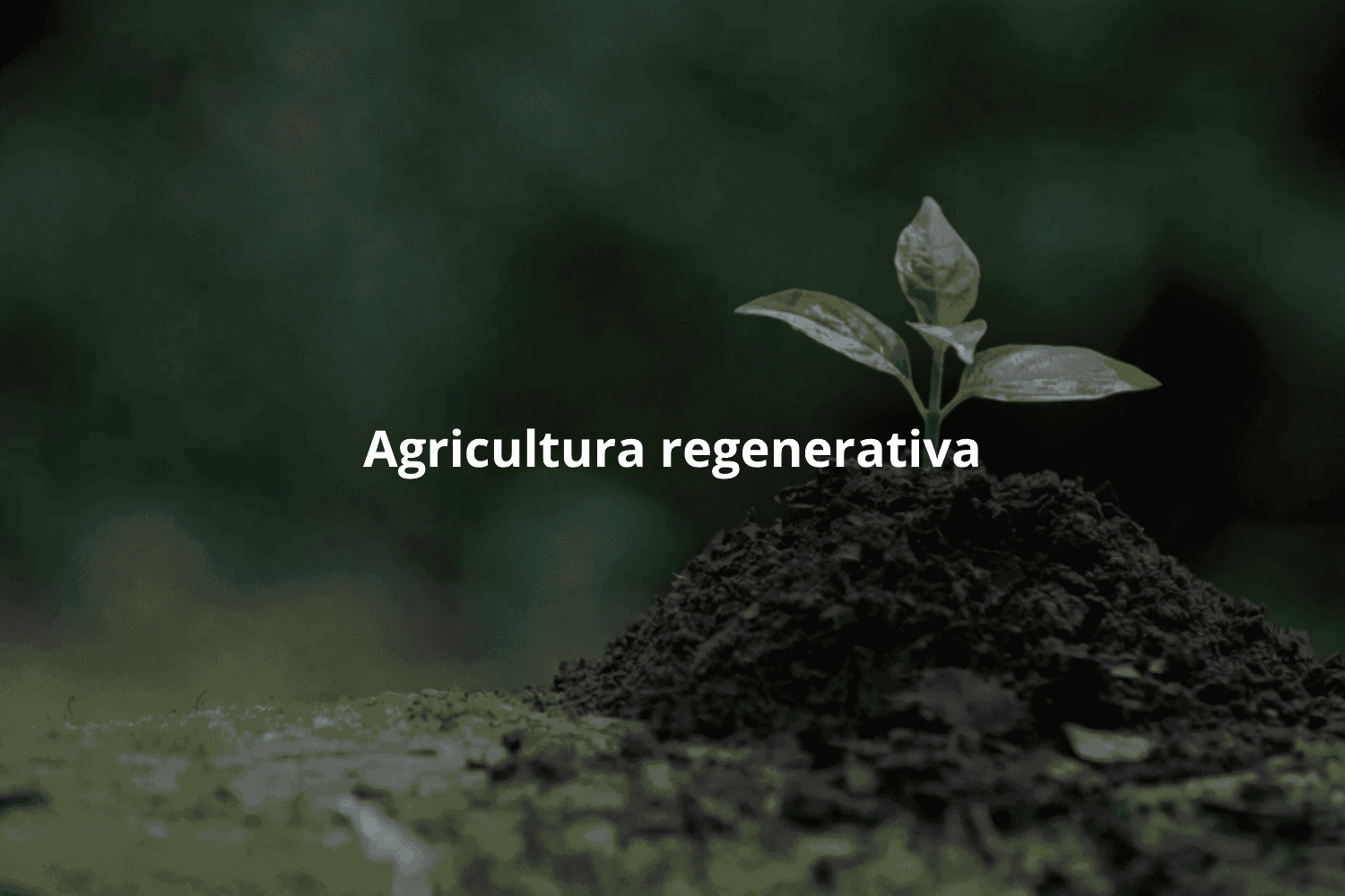 Agricultura regenerativa
