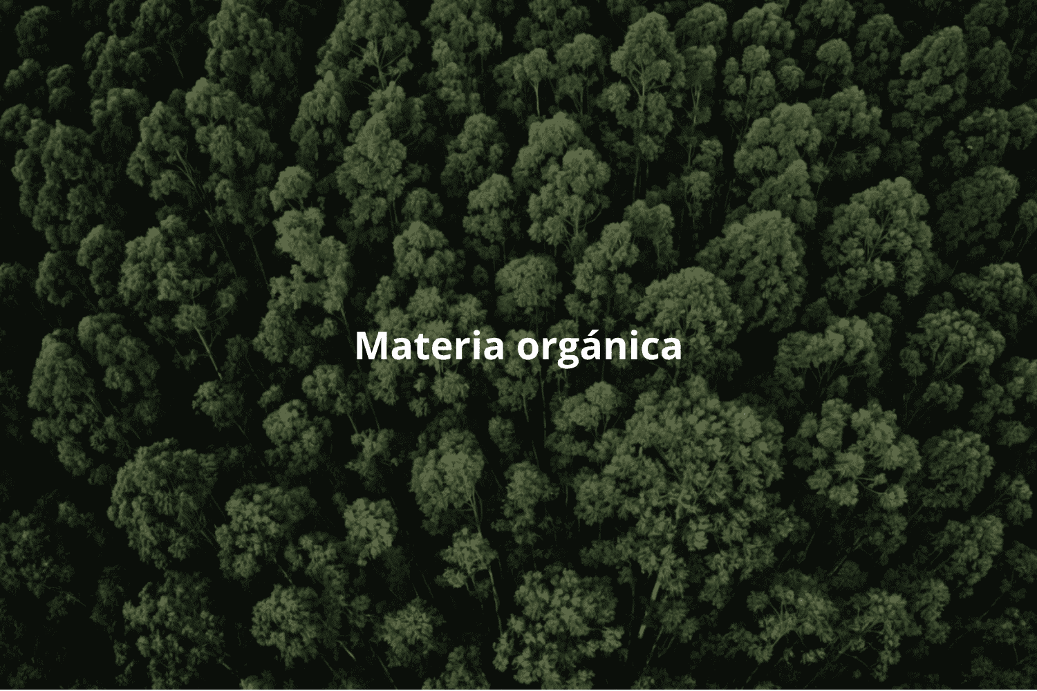 Materia orgánica