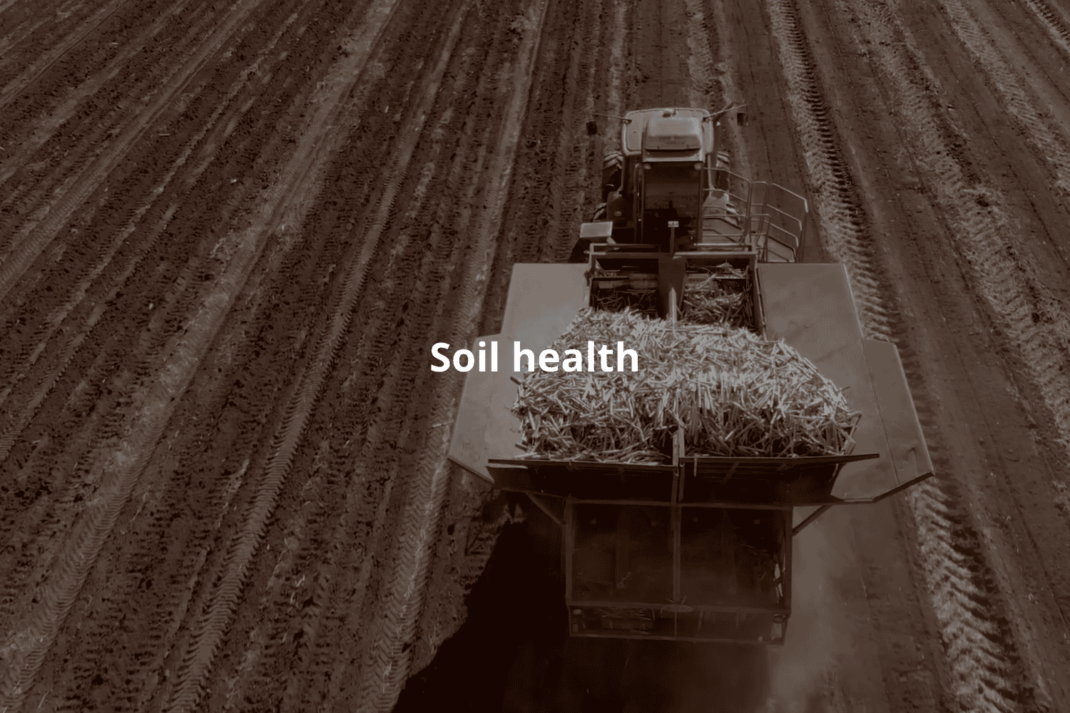 Soil Health: The Foundation of Productive and Sustainable Agriculture
