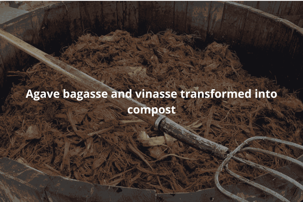agave bagasse and vinasse transformed into compost