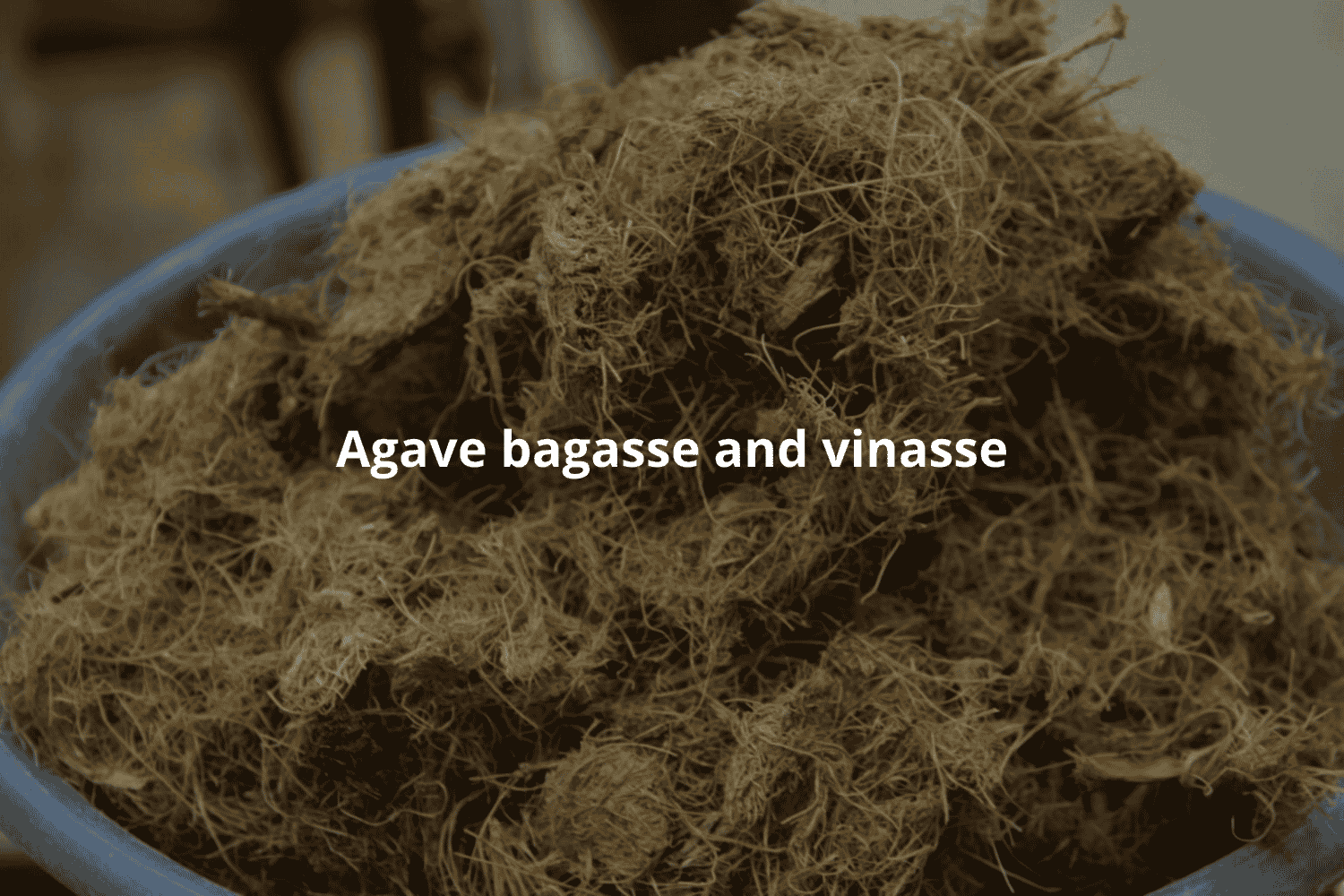 agave bagasse and vinasse