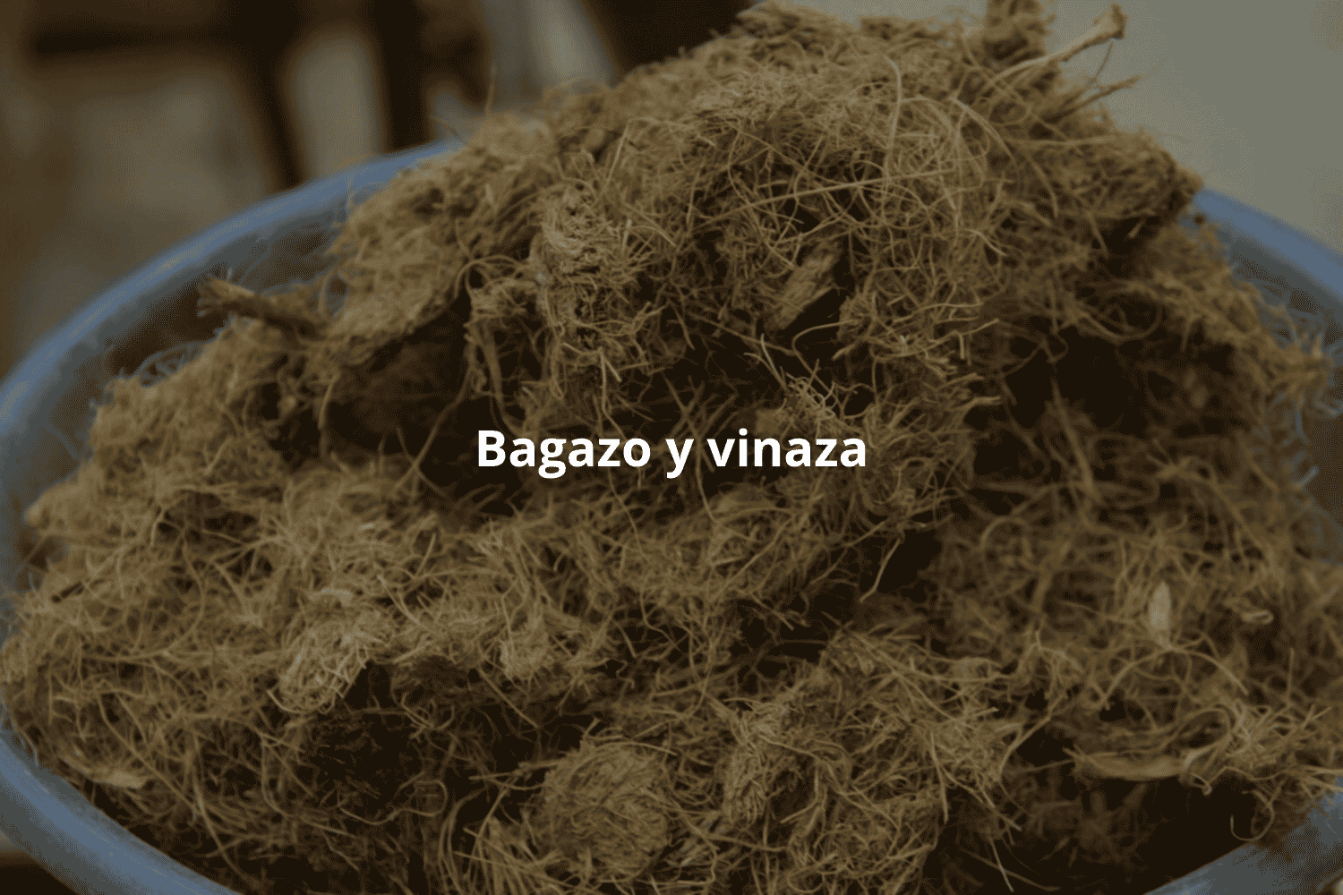 bagazo y vinaza