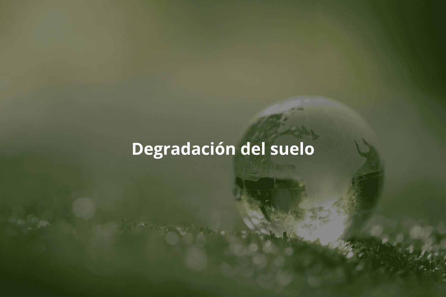 Degradación del suelo en terrenos agrícolas