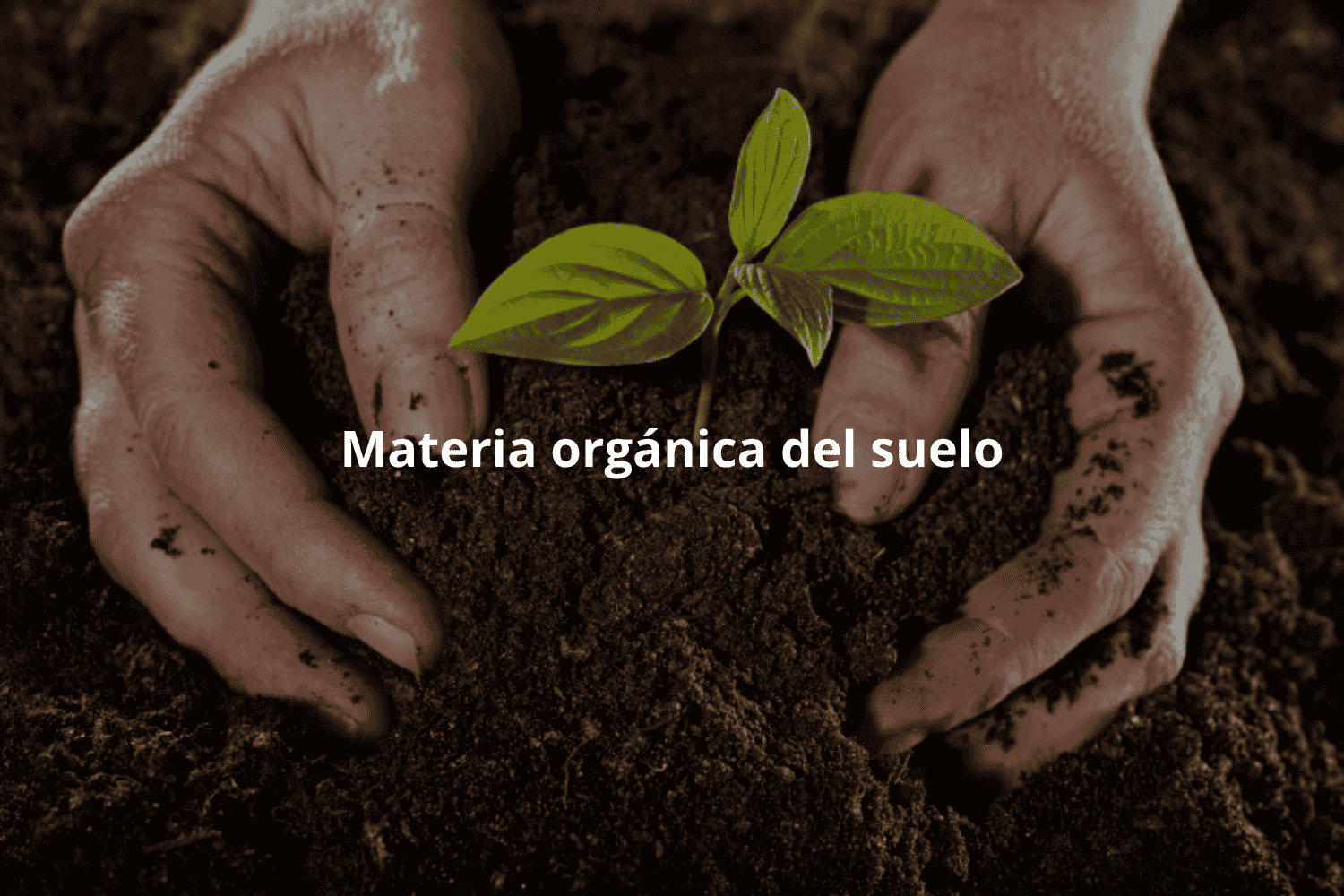 Residuos orgánicos transformados en recursos para la agricultura