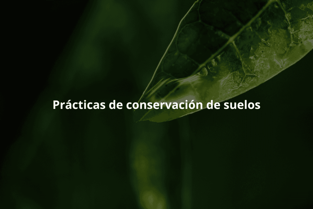 Prácticas agrícolas para prevenir la degradación del suelo