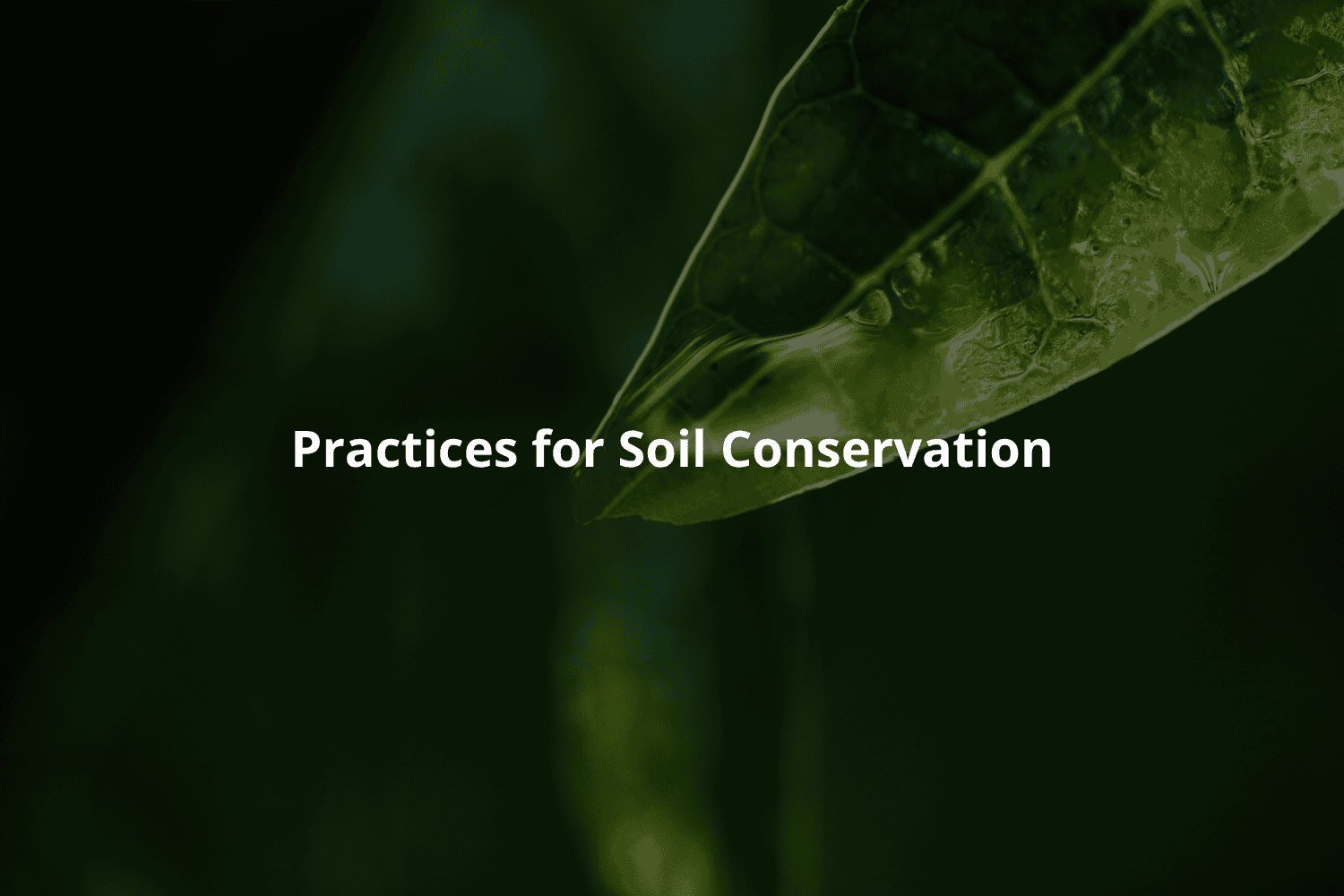 Agricultural practices to prevent soil degradation
