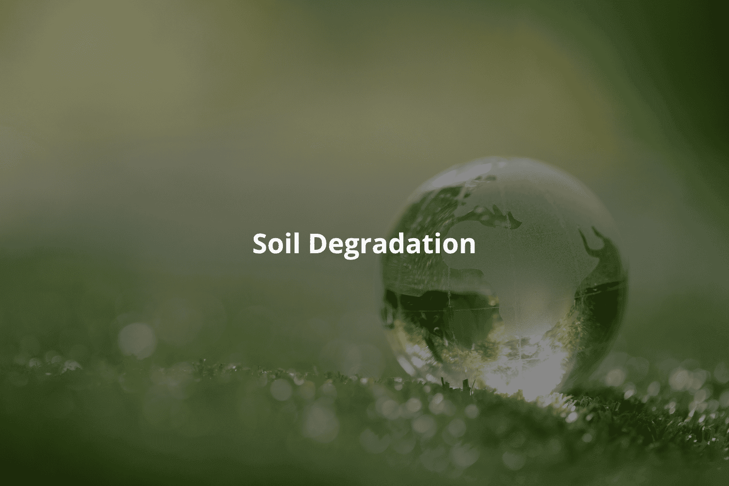 Soil degradation in agricultural land